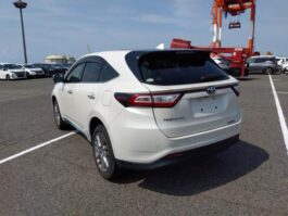 TOYOTA HARRIER ADVANCE PREMIUM 2019 PEARL