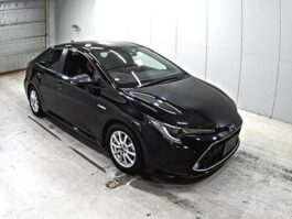 Toyota Corolla WxB 2020 Hybrid Edition