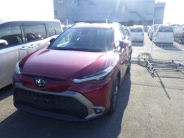 ๐๐๐๐๐๐ ๐๐ฟ๐ผ๐๐ ๐ ๐๐๐๐ญ๐ก๐๐ซ ๐๐๐๐ญ (๐๐๐๐๐๐)-๐๐ฎ๐ฟ๐ฑ๐๐ผ๐ฝ