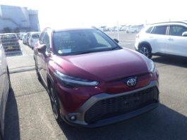 ๐๐๐๐๐๐ ๐๐ฟ๐ผ๐๐ ๐ ๐๐๐๐ญ๐ก๐๐ซ ๐๐๐๐ญ (๐๐๐๐๐๐)-๐๐ฎ๐ฟ๐ฑ๐๐ผ๐ฝ